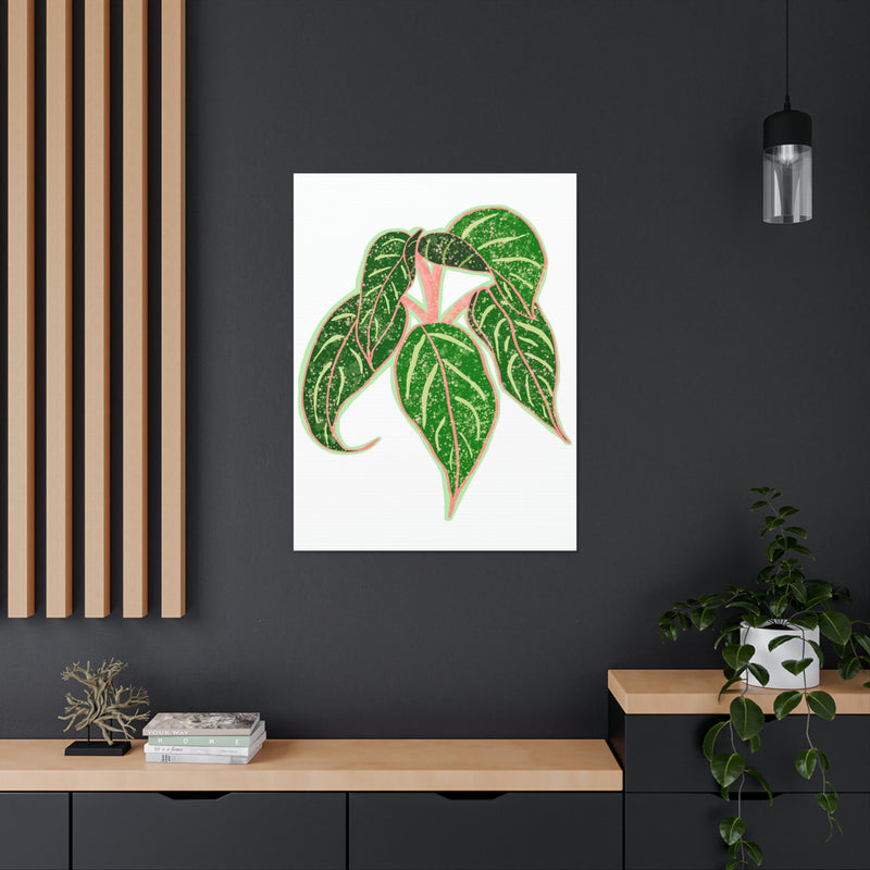 Aglaonema Sparkling Sarah Plant Canvas