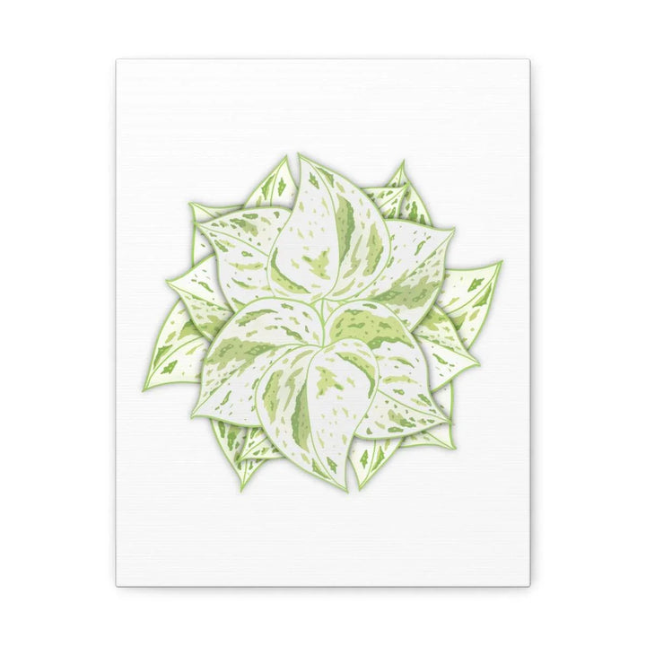 Snow Queen Pothos Canvas – Variegated Leaf Canvas Art Print | Durable Cotton - Laura Christine Photography & Design