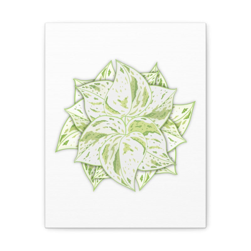 Snow Queen Pothos Canvas, Canvas, Laura Christine Photography & Design, Art & Wall Decor, Canvas, Hanging Hardware, Home & Living, Indoor, Laura Christine Photography & Design, 