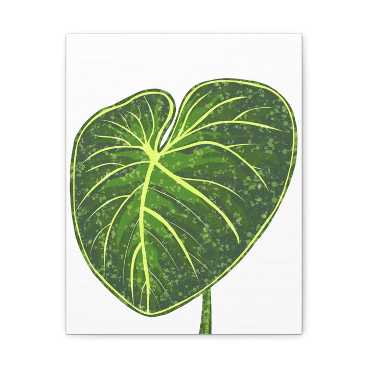 Philodendron Gloriosum Canvas - Stretched Canvas Art Print | Matte Indoor Wall Art - Laura Christine Photography & Design