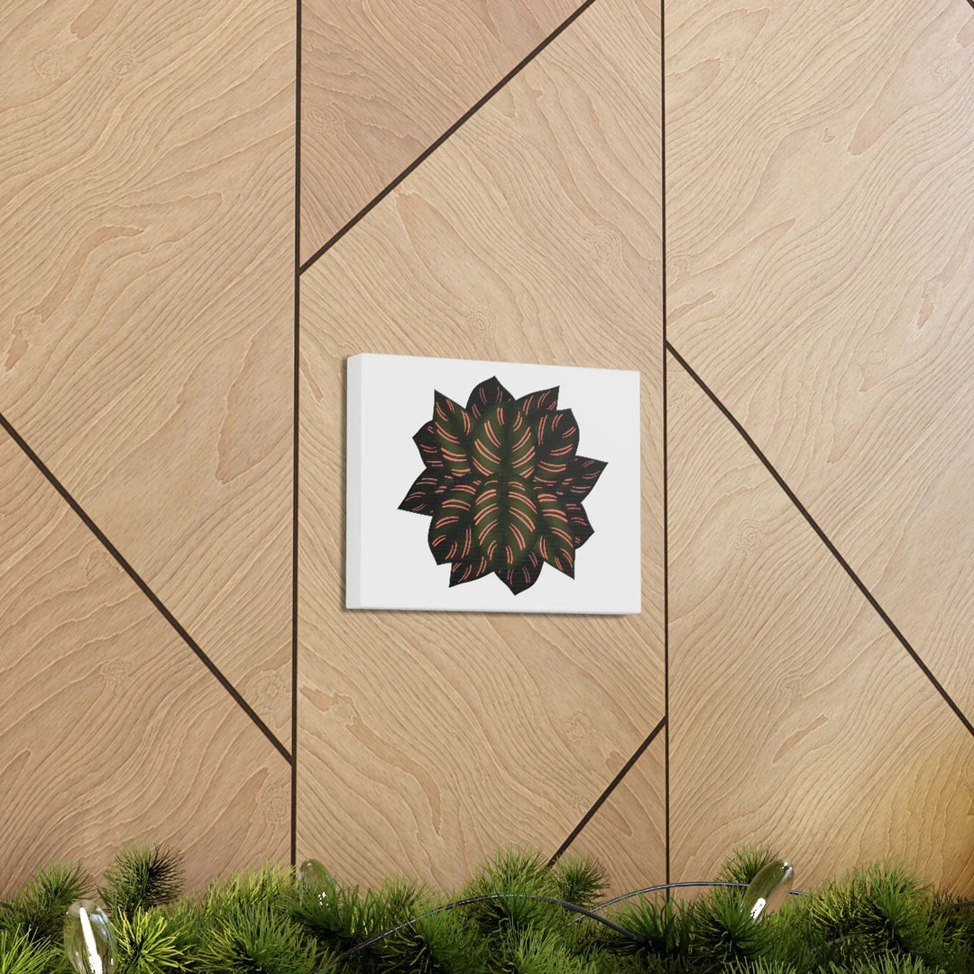 Calathea Pinstripe Canvas – Botanical Canvas Art Print | Matte Finish Wall Decor