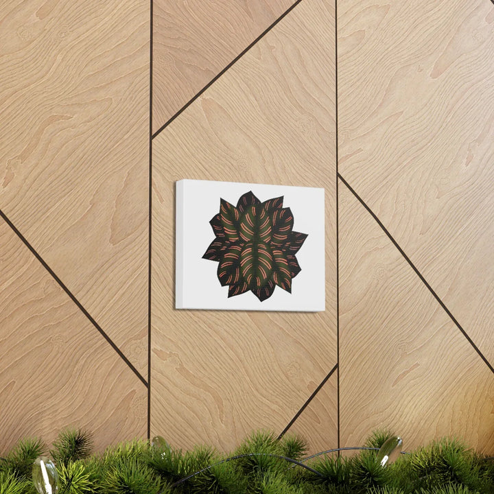 Calathea Pinstripe Canvas – Botanical Canvas Art Print | Matte Finish Wall Decor