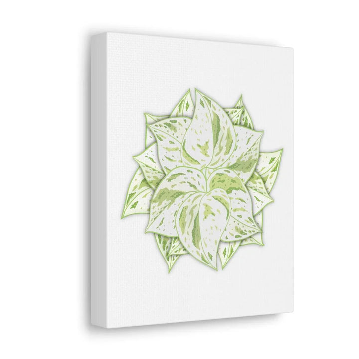 Snow Queen Pothos Canvas – Variegated Leaf Canvas Art Print | Durable Cotton - Laura Christine Photography & Design