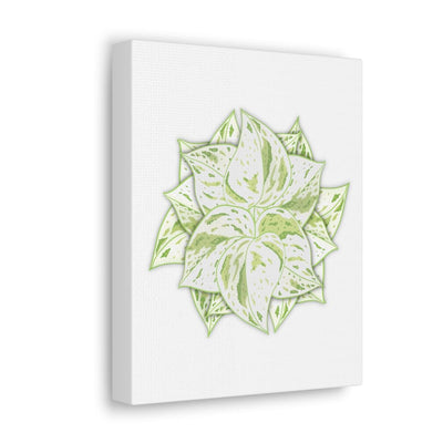 Snow Queen Pothos Canvas, Canvas, Laura Christine Photography & Design, Art & Wall Decor, Canvas, Hanging Hardware, Home & Living, Indoor, Laura Christine Photography & Design, 