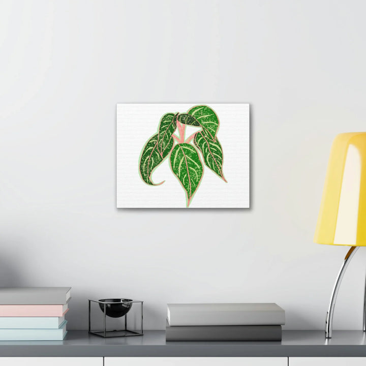 Aglaonema Plant Canvas | Sparkling Plant Artwork - Colorfast Canvas Art Print Decor