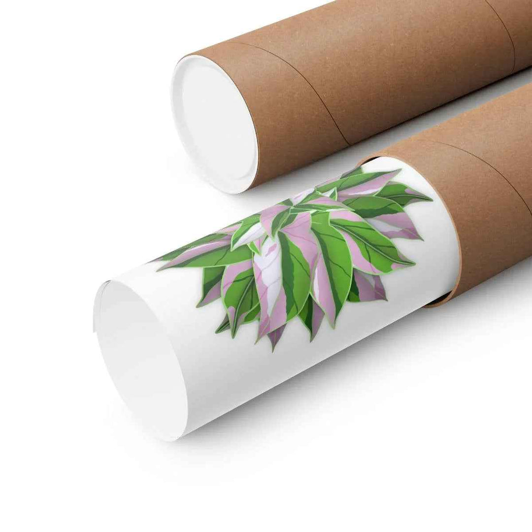Tricolor Syngonium Print - Botanical Poster on Museum Grade Paper | Archival Ink Unframed