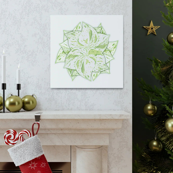 Snow Queen Pothos Canvas – Variegated Leaf Canvas Art Print | Durable Cotton - Laura Christine Photography & Design