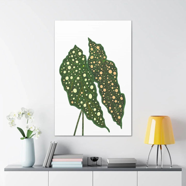 Begonia Maculata Canvas | Premium Canvas Art Print - Matte Finish, Durable Wall Decor - Laura Christine Photography & Design