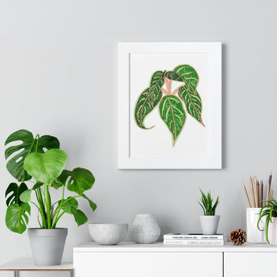 Sparkling Sarah Agalonema (Chinese Evergreen) Framed Print, Poster, Laura Christine Photography & Design, Aglaonema, Bottle, Canvas Bag, Chinese Evergreen, Coffee, Drinkware, Framed, Home & Living, Indoor, Paper, Posters, Reusable, Shopping Bag, Sparklng Sarah, Tea, Tote Bag, Travel, Tumbler, Water, Laura Christine Photography & Design, laurachristinedesign.com