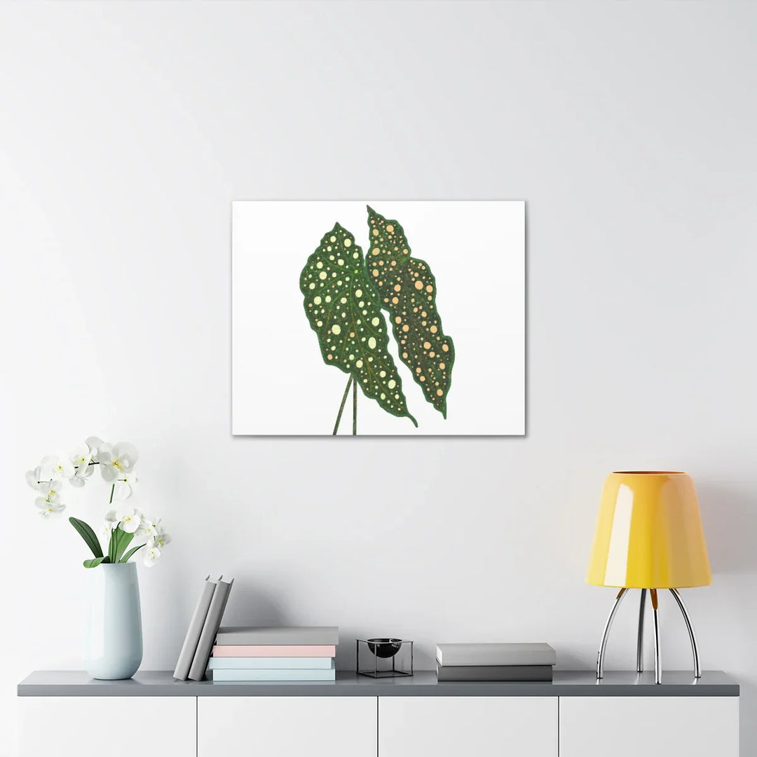Begonia Maculata Canvas | Premium Canvas Art Print - Matte Finish, Durable Wall Decor - Laura Christine Photography & Design