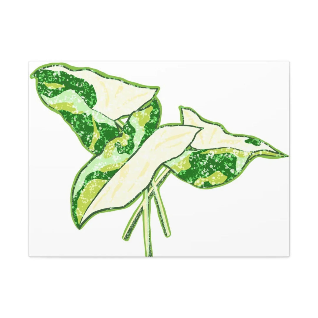 Marble Syngonium Canvas - Botanical Canvas Art Print | Durable Cotton Matte Finish - Laura Christine Photography & Design