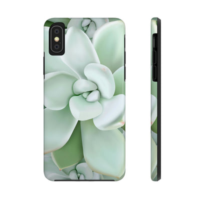 Pachyveria Haagei Succulent Phone Case, Phone Case, Printify, Accessories, Glossy, iPhone Cases, Matte, Phone accessory, Phone Cases, Samsung Cases, Laura Christine Photography & Design, laurachristinedesign.com