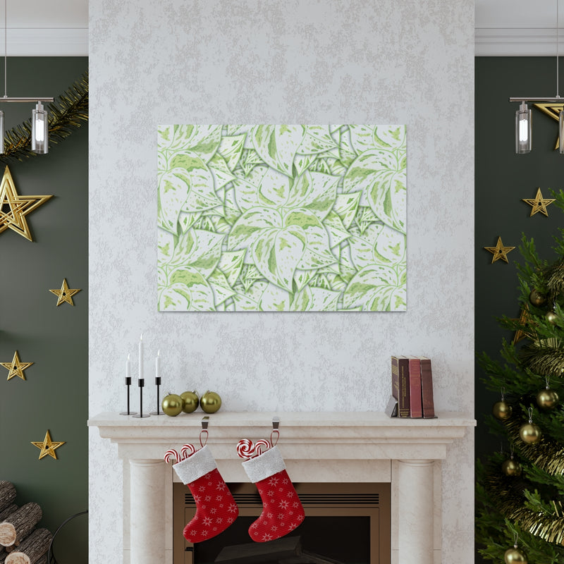 Snow Queen Pothos Canvas