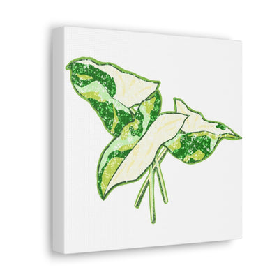 Marble Syngonium Canvas