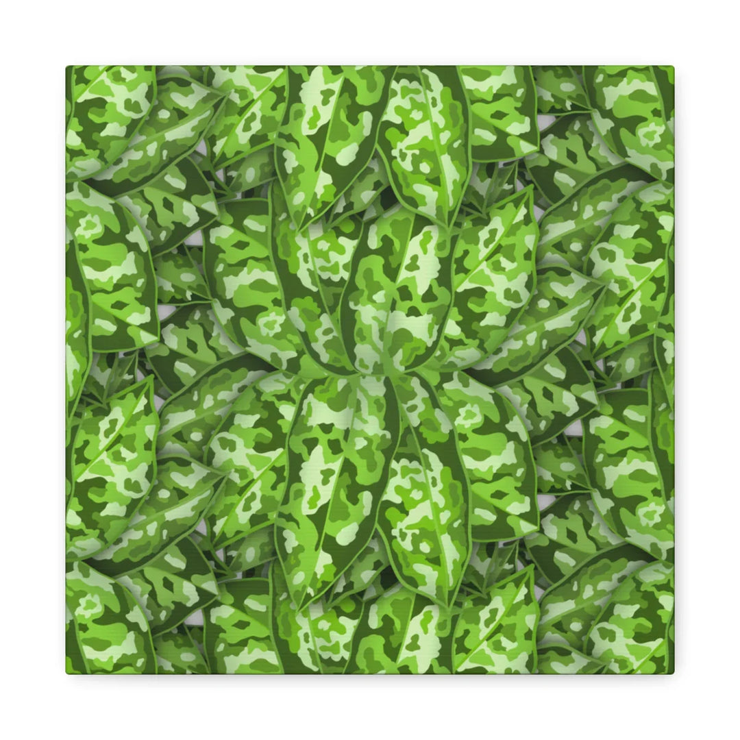 Aglaonema Pictum Canvas - Rare Camouflage Leaf Print Canvas Art Print