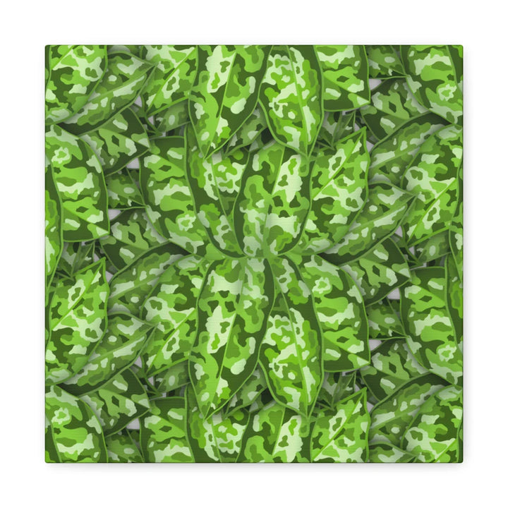 Aglaonema Pictum Canvas - Rare Camouflage Leaf Print Canvas Art Print