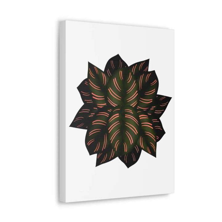 Calathea Pinstripe Canvas – Botanical Canvas Art Print | Matte Finish Wall Decor
