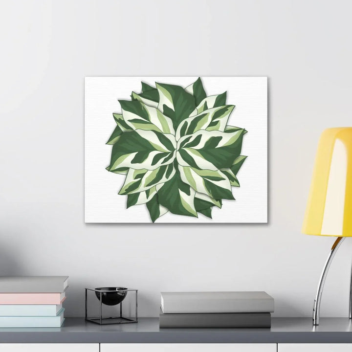 Calathea White Fusion Canvas | Indoor Wall Art - Matte Finish Botanical Canvas Art Print - Laura Christine Photography & Design