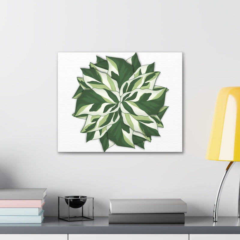 Calathea White Fusion Canvas, Canvas, Laura Christine Photography & Design, Art & Wall Decor, Canvas, Hanging Hardware, Home & Living, Indoor, Laura Christine Photography & Design, 