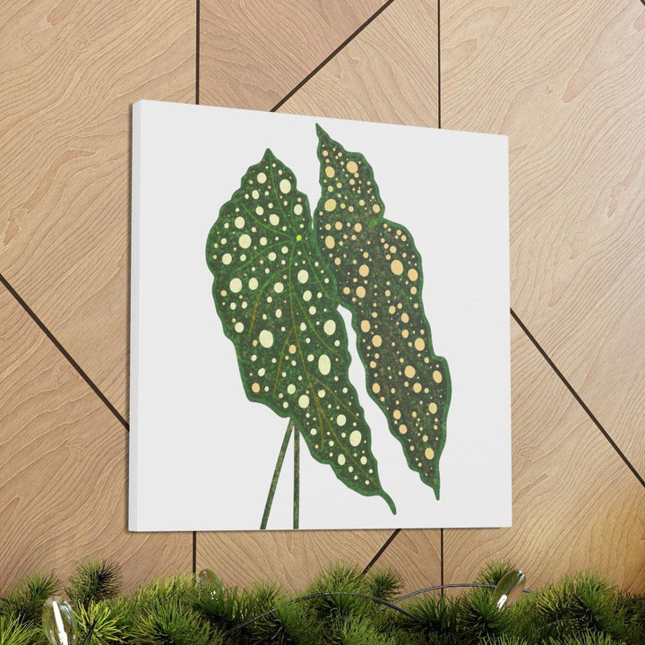 Begonia Maculata Canvas | Premium Canvas Art Print - Matte Finish, Durable Wall Decor - Laura Christine Photography & Design
