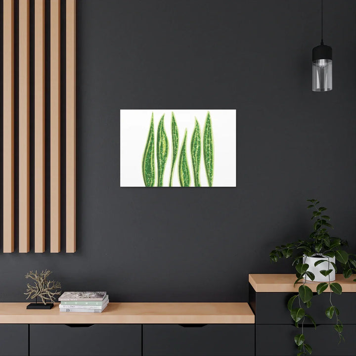 Snake Plant Canvas | Botanical Canvas Decor - Matte Finish Artwork for Living Room - Laura Christine Photography & Design