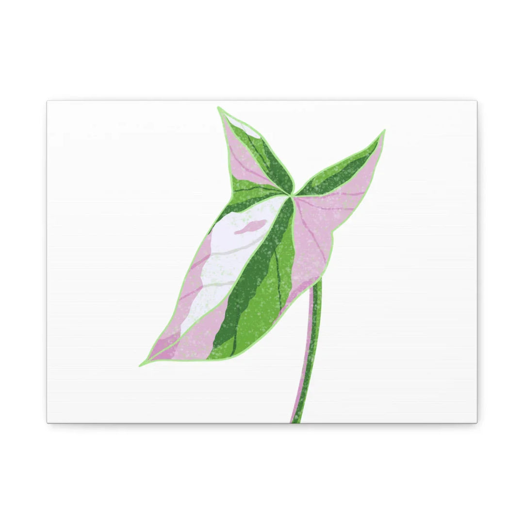 Syngonium Tricolor Canvas | Botanical Canvas Art Print With Matte Finish - Laura Christine Photography & Design
