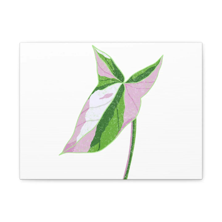 Syngonium Tricolor Canvas | Botanical Canvas Art Print With Matte Finish - Laura Christine Photography & Design