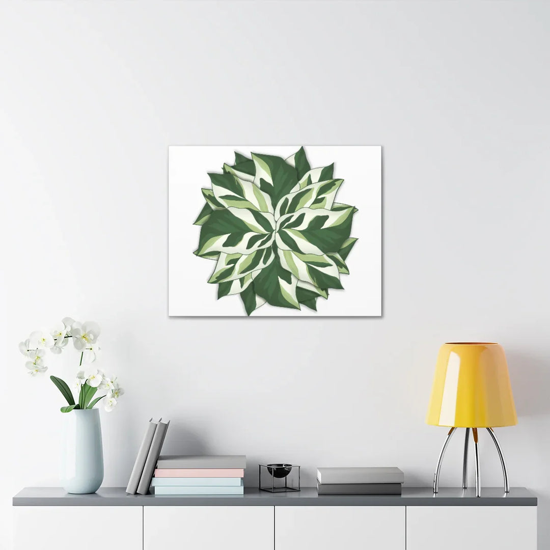 Calathea White Fusion Canvas | Indoor Wall Art - Matte Finish Botanical Canvas Art Print - Laura Christine Photography & Design