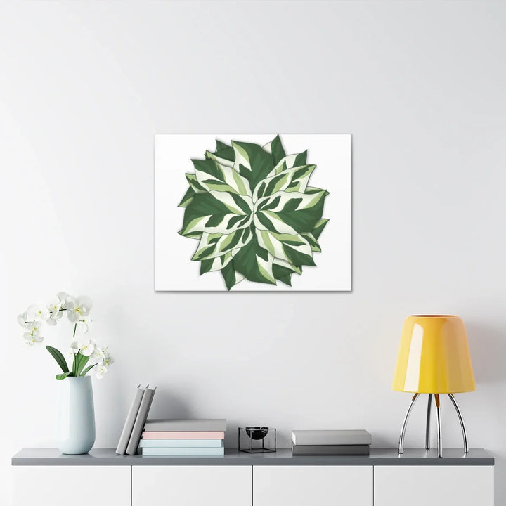 Calathea White Fusion Canvas | Indoor Wall Art - Matte Finish Botanical Canvas Art Print - Laura Christine Photography & Design