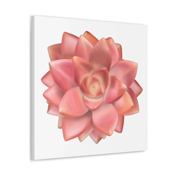 Graptosedum 'California Sunset' Succulent Canvas, Canvas, Laura Christine Photography & Design, Art & Wall Decor, Canvas, Hanging Hardware, Home & Living, Indoor, Laura Christine Photography & Design, laurachristinedesign.com