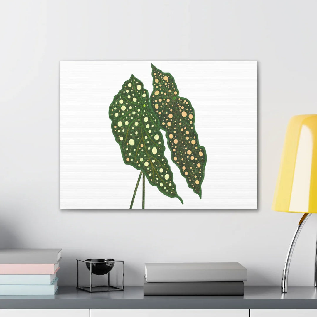 Begonia Maculata Canvas | Premium Canvas Art Print - Matte Finish, Durable Wall Decor - Laura Christine Photography & Design