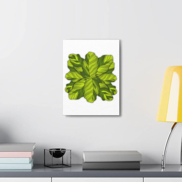 Calathea Yellow Fusion Canvas – Botanical Canvas Print With Unique Leaf Pattern Art - Laura Christine Photography & Design