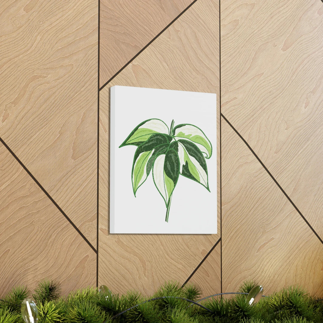 Philodendron Canvas Print - Cream Splash Variegated Plant Art on Matte Cotton Canvas