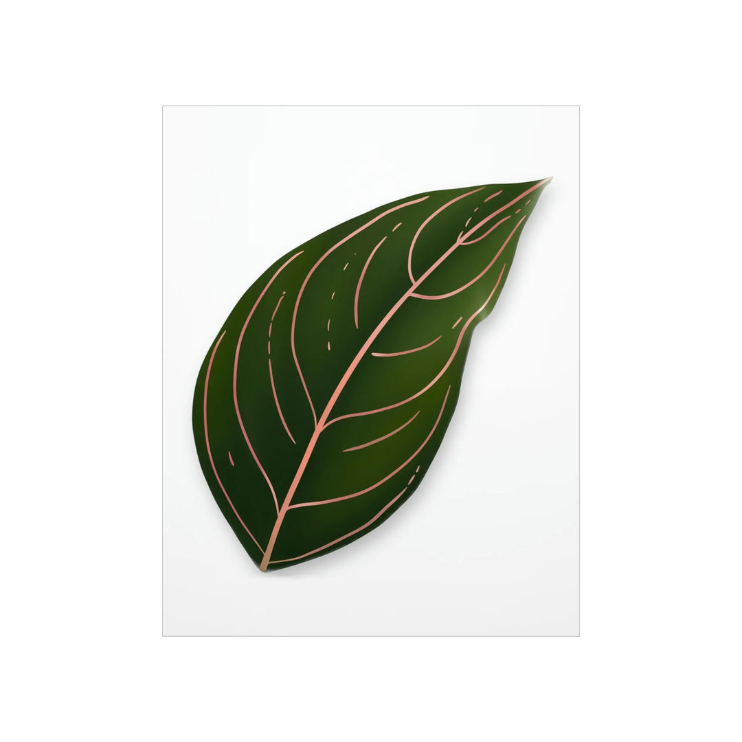 Aglaonema Rotundum Print – Botanical Wall Art on Museum Grade Paper | Unframed