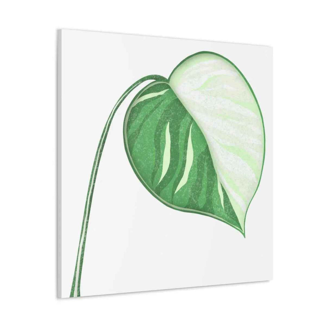 Monstera Albo Canvas | Large Tropical Leaf Artwork - Matte Finish Canvas Art Print