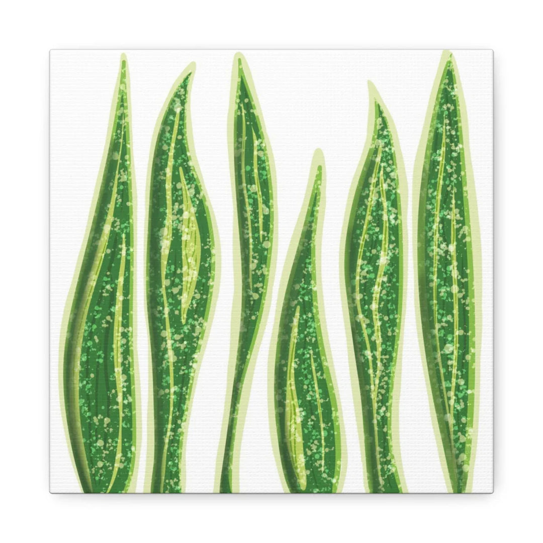 Snake Plant Canvas | Botanical Canvas Decor - Matte Finish Artwork for Living Room - Laura Christine Photography & Design