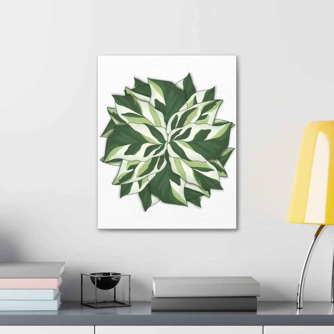Calathea White Fusion Canvas | Indoor Wall Art - Matte Finish Botanical Canvas Art Print