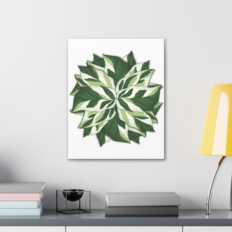 Calathea White Fusion Canvas, Canvas, Laura Christine Photography & Design, Art & Wall Decor, Bottle, Calathea, Canvas, Canvas Bag, Coffee, Drinkware, Hanging Hardware, Home & Living, Indoor, Prayer Plant, Reusable, Shopping Bag, Tea, Tote Bag, Travel, Tumbler, Water, White Fusion, Laura Christine Photography & Design, laurachristinedesign.com