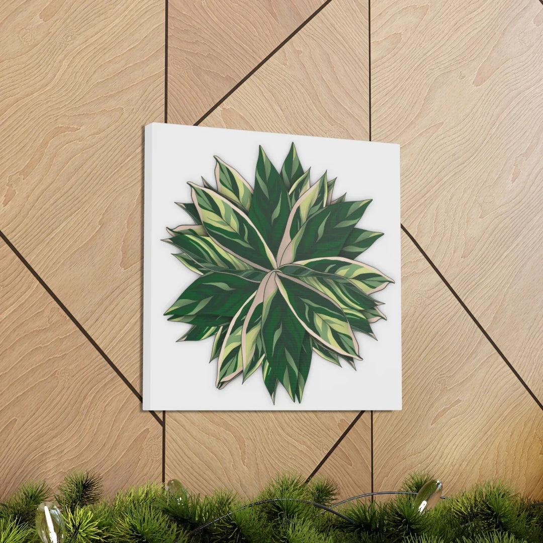 Stromanthe Triostar Canvas - Pastel Stripe Canvas Art Print With Vivid Color Artwork - Laura Christine Photography & Design