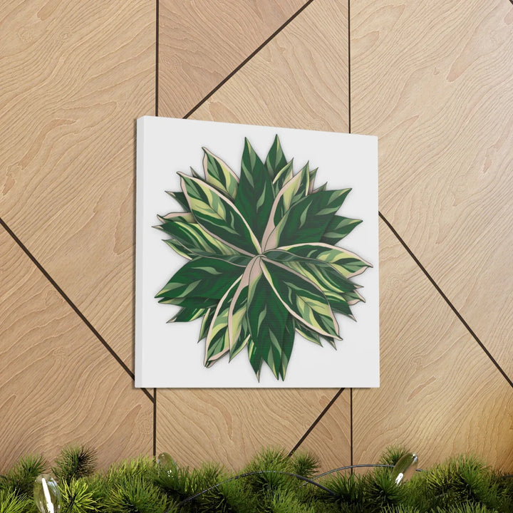 Stromanthe Triostar Canvas - Pastel Stripe Canvas Art Print With Vivid Color Artwork - Laura Christine Photography & Design
