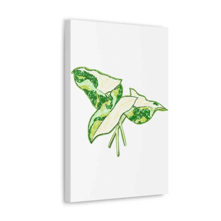 Marble Syngonium Canvas - Botanical Canvas Art Print | Durable Cotton Matte Finish