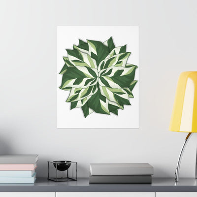 Calathea White Fusion Print, Poster, Laura Christine Photography & Design, Back to School, Bottle, Calathea, Canvas Bag, Coffee, Drinkware, Home & Living, Indoor, Matte, Paper, Posters, Prayer Plant, Reusable, Shopping Bag, Tea, Tote Bag, Travel, Tumbler, Valentine's Day promotion, Water, White Fusion, Laura Christine Photography & Design, laurachristinedesign.com