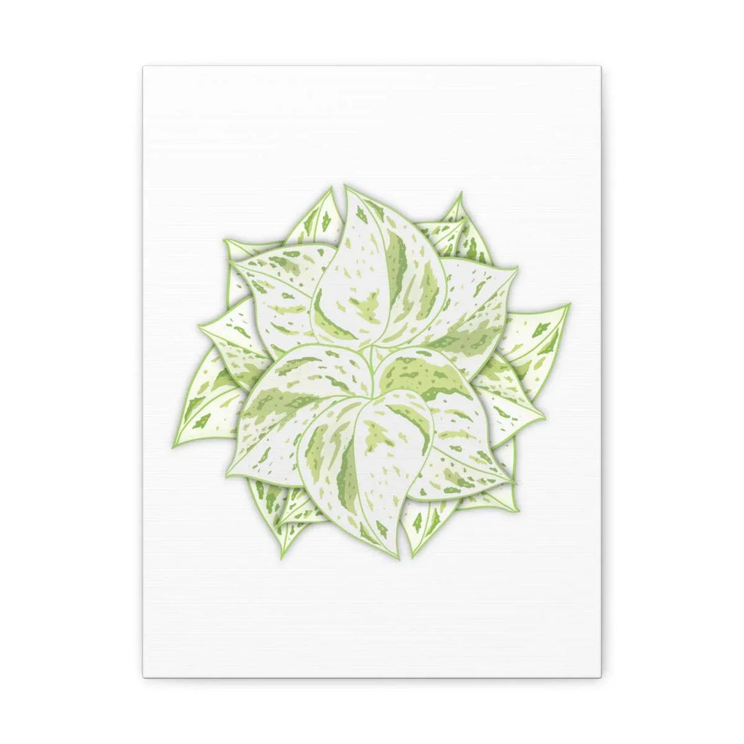Snow Queen Pothos Canvas – Variegated Leaf Canvas Art Print | Durable Cotton - Laura Christine Photography & Design