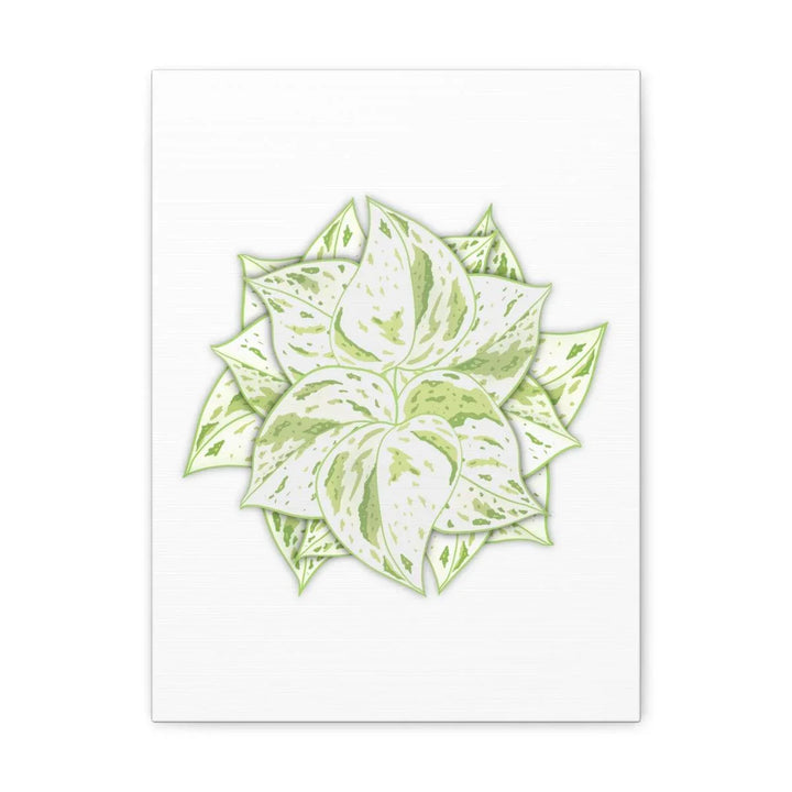 Snow Queen Pothos Canvas – Variegated Leaf Canvas Art Print | Durable Cotton - Laura Christine Photography & Design