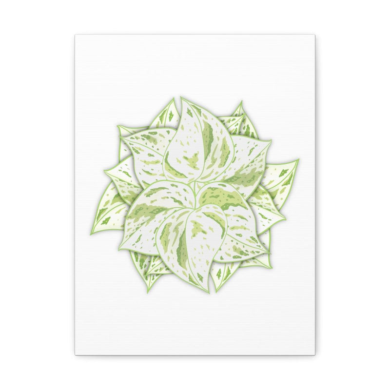 Snow Queen Pothos Canvas, Canvas, Laura Christine Photography & Design, Art & Wall Decor, Canvas, Hanging Hardware, Home & Living, Indoor, Laura Christine Photography & Design, 