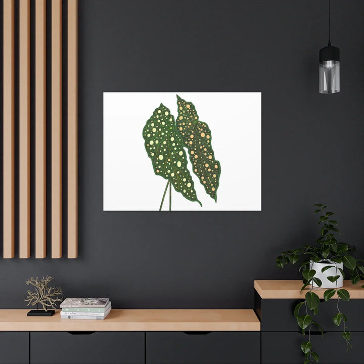 Begonia Maculata Canvas | Premium Canvas Art Print - Matte Finish, Durable Wall Decor - Laura Christine Photography & Design