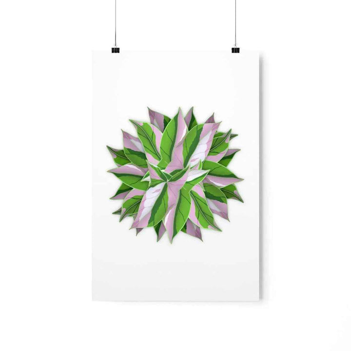 Tricolor Syngonium Print - Botanical Poster on Museum Grade Paper | Archival Ink Unframed