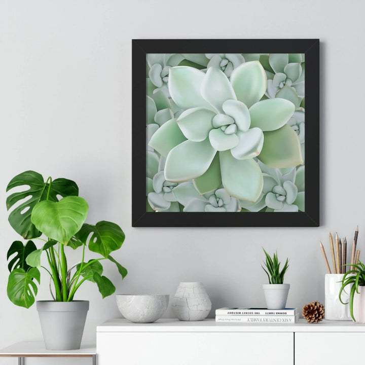 Pachyveria Haagei Succulent Pattern Framed Print, Poster, Printify, Framed, Home & Living, Indoor, Paper, Posters, Laura Christine Photography & Design, laurachristinedesign.com