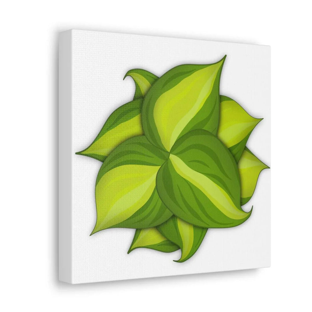 Philodendron Brasil Canvas - Botanical Canvas Art Print With Matte Finish & Durable Hanging - Laura Christine Photography & Design