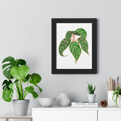 Sparkling Sarah Agalonema (Chinese Evergreen) Framed Print, Poster, Laura Christine Photography & Design, Aglaonema, Bottle, Canvas Bag, Chinese Evergreen, Coffee, Drinkware, Framed, Home & Living, Indoor, Paper, Posters, Reusable, Shopping Bag, Sparklng Sarah, Tea, Tote Bag, Travel, Tumbler, Water, Laura Christine Photography & Design, laurachristinedesign.com